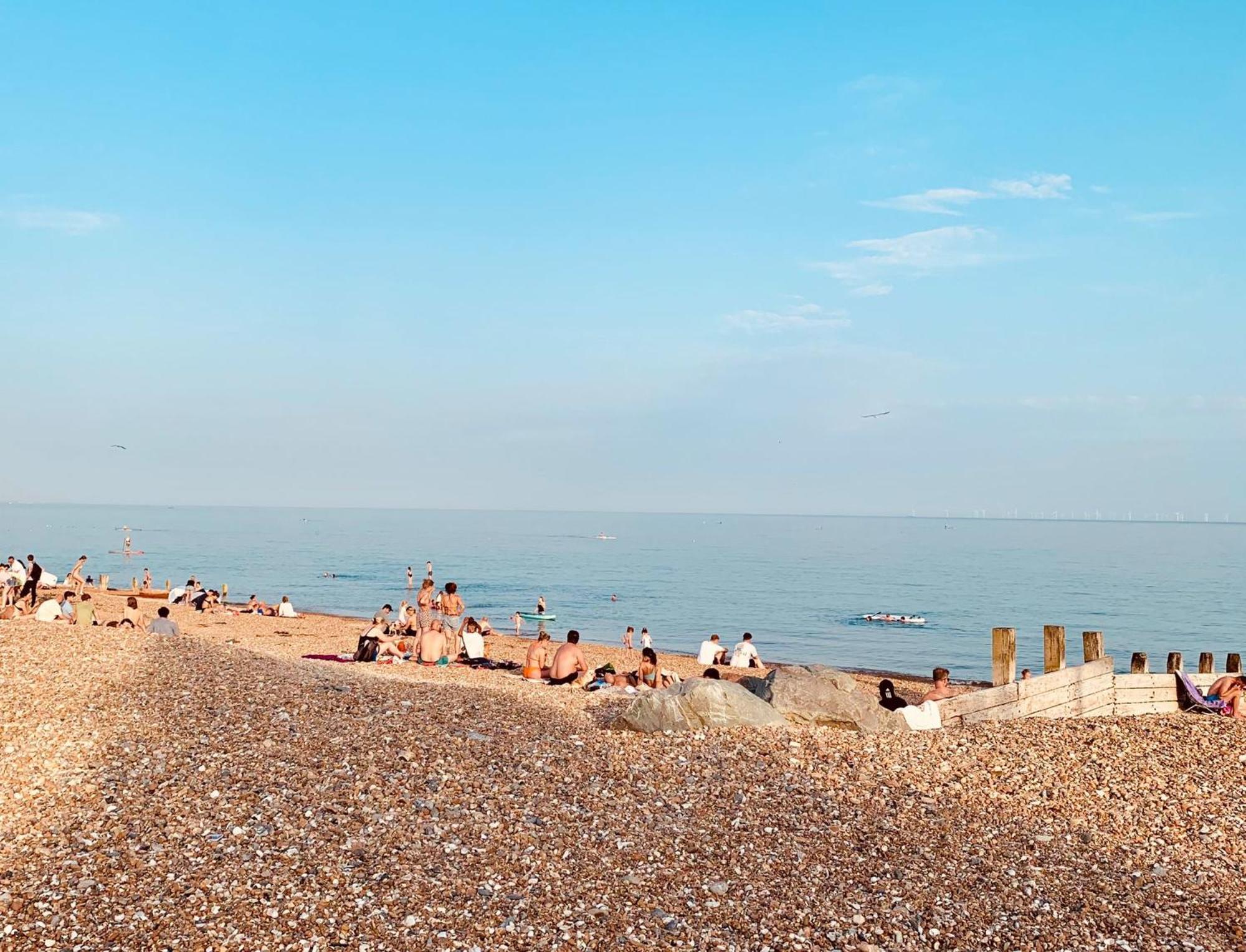 Apartament Birdsong & Pine: Parking & Garden Worthing Zewnętrze zdjęcie